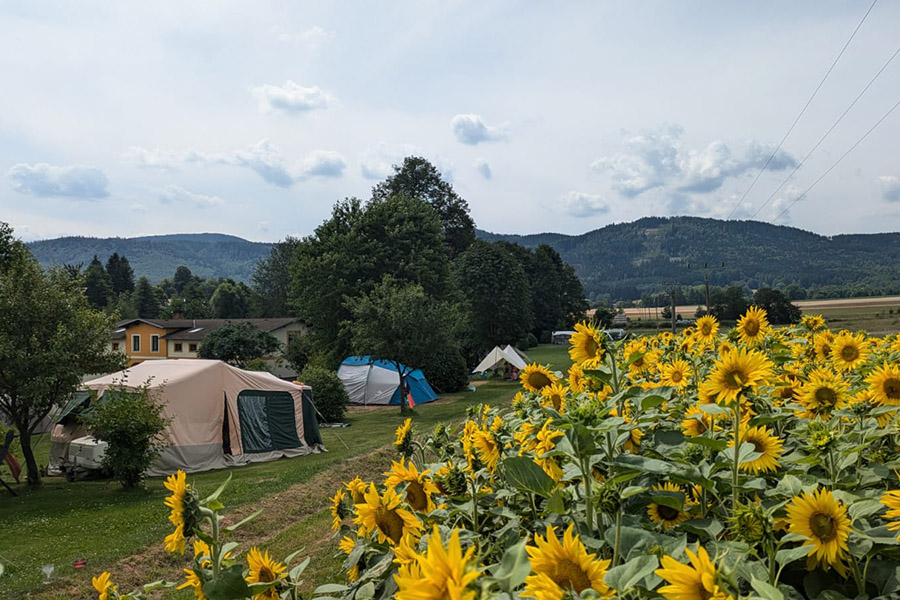 Camping 1