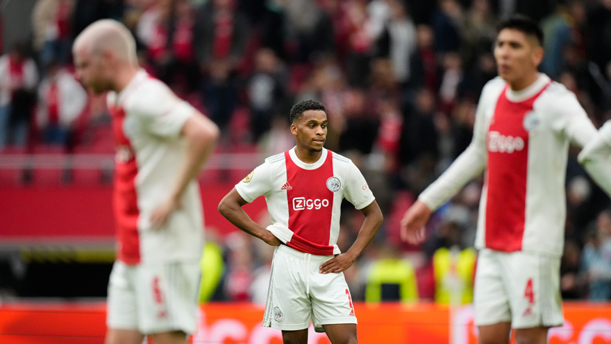 Teleurstelling Timber 880