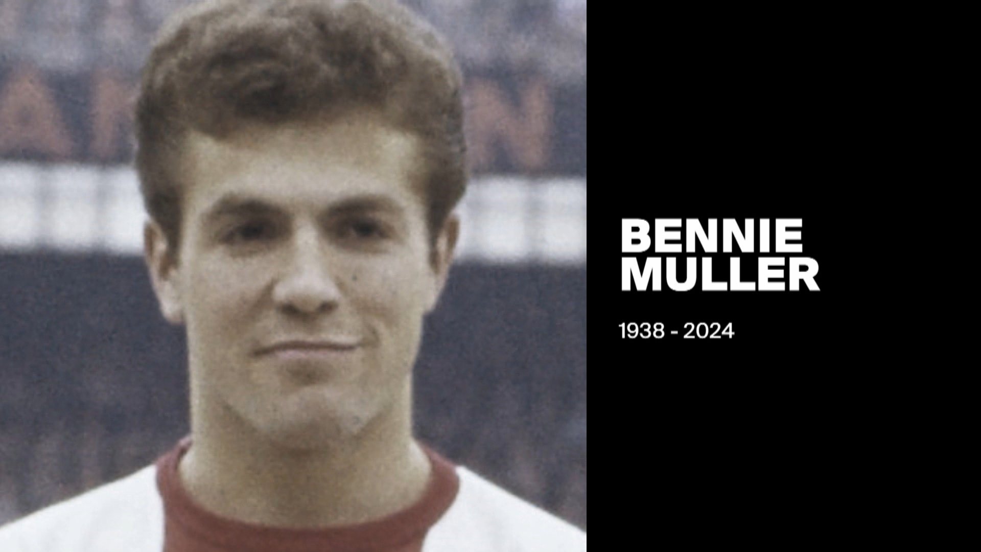 Thumbnail CV MULLER Bennie 2024 85