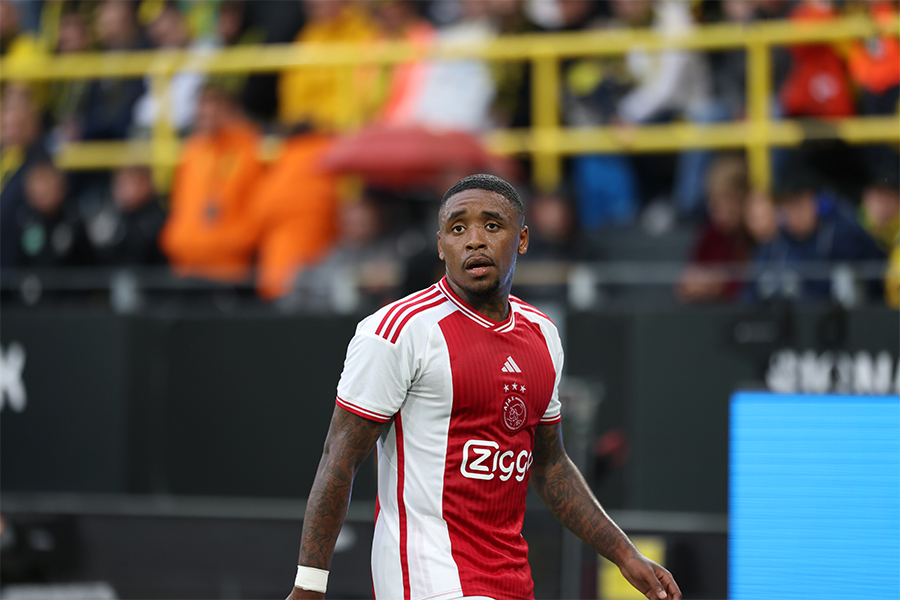 Bergwijnbalen900